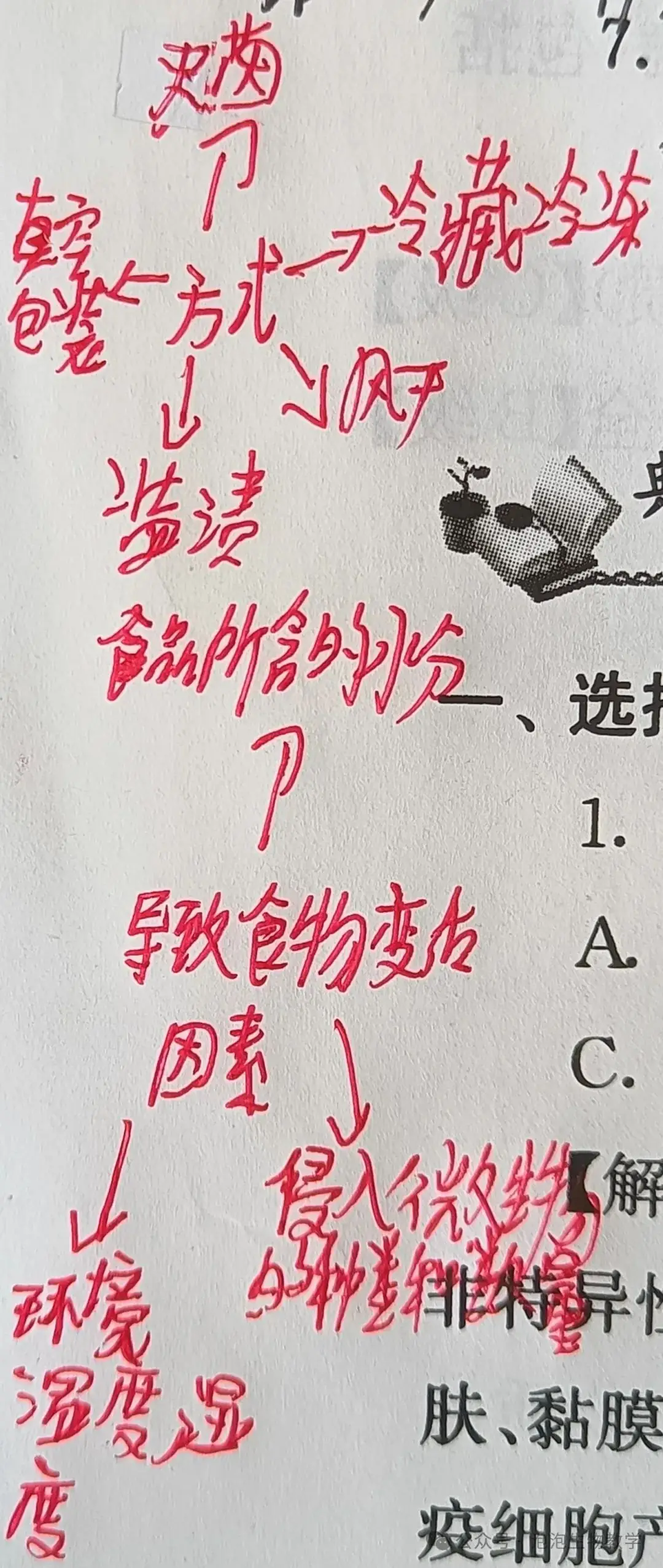 学生绘图2:思维导图运用到中考复习中-第4张图片-四季读书网