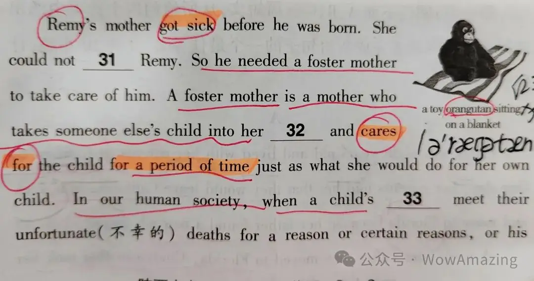 【中考复习】英语阅读理解会出哪些高阶思维的题?-第4张图片-四季读书网