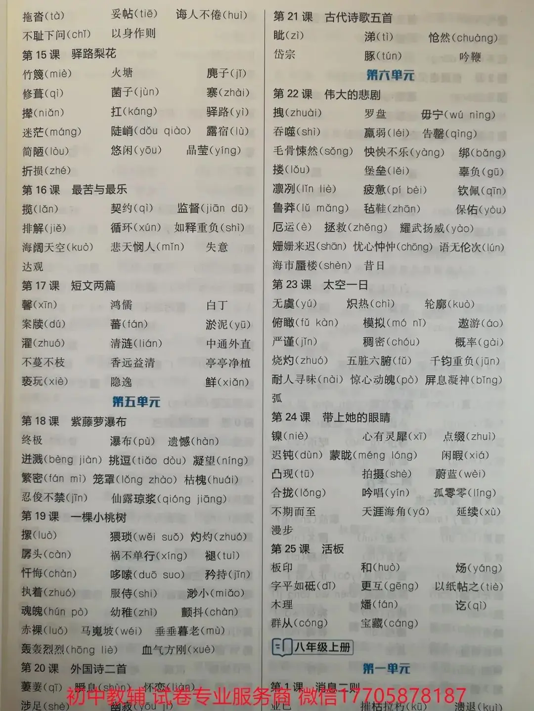 2024全品中考 复习方案 语文-第10张图片-四季读书网