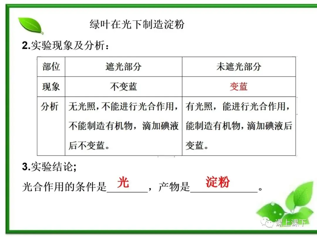 小中考复习课件7-----初一下绿色植物的光合作用-第11张图片-四季读书网