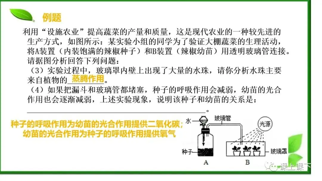 小中考复习课件8-----初一下绿色植物的呼吸作用-第6张图片-四季读书网