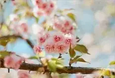 决战百日 圆梦中考 —弘德实验学校2024届中考百日誓师大会-第56张图片-四季读书网 决战百日 圆梦中考 —弘德实验学校2024届中考百日誓师大会-第56张图片-四季读书网