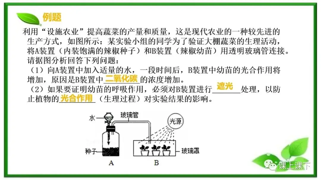 小中考复习课件8-----初一下绿色植物的呼吸作用-第5张图片-四季读书网