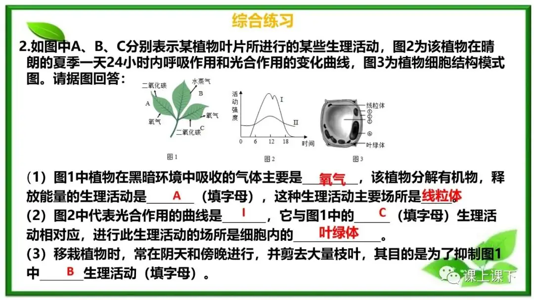 小中考复习课件8-----初一下绿色植物的呼吸作用-第17张图片-四季读书网