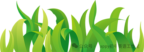 高效复习,决胜中考——初中英语名师发展工作室九年级中考专题复习研讨活动-第16张图片-四季读书网