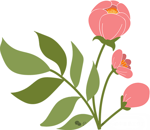 高效复习,决胜中考——初中英语名师发展工作室九年级中考专题复习研讨活动-第3张图片-四季读书网