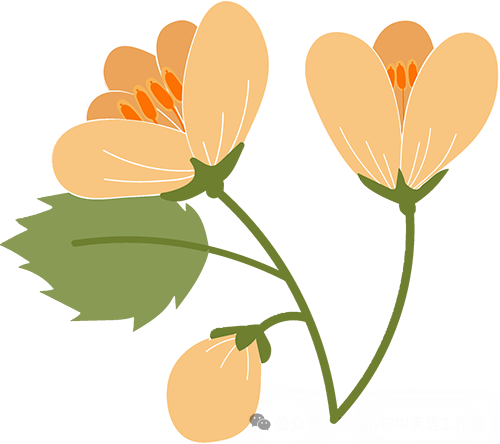 高效复习,决胜中考——初中英语名师发展工作室九年级中考专题复习研讨活动-第12张图片-四季读书网
