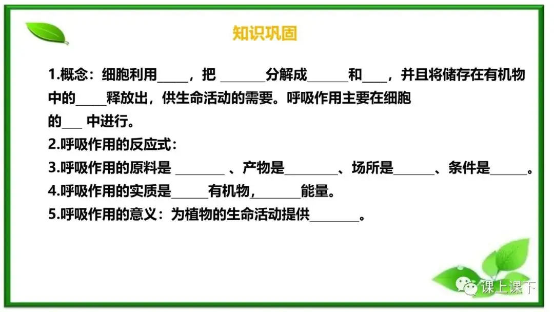 小中考复习课件8-----初一下绿色植物的呼吸作用-第8张图片-四季读书网
