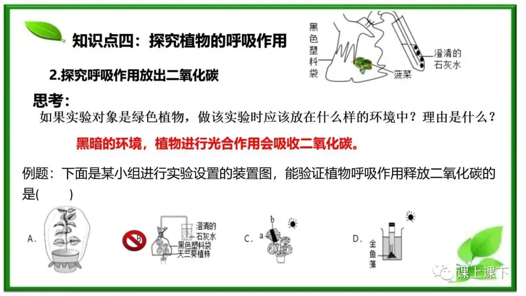 小中考复习课件8-----初一下绿色植物的呼吸作用-第11张图片-四季读书网