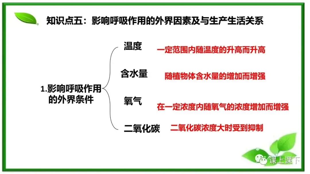 小中考复习课件8-----初一下绿色植物的呼吸作用-第13张图片-四季读书网