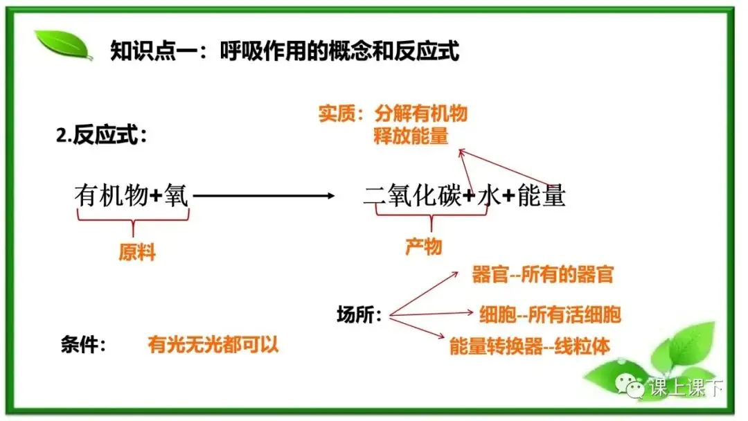 小中考复习课件8-----初一下绿色植物的呼吸作用-第3张图片-四季读书网