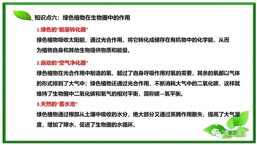 小中考复习课件8-----初一下绿色植物的呼吸作用-第15张图片-四季读书网