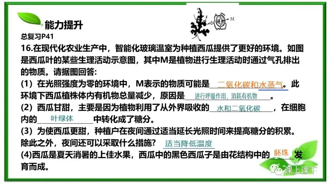 小中考复习课件8-----初一下绿色植物的呼吸作用-第24张图片-四季读书网