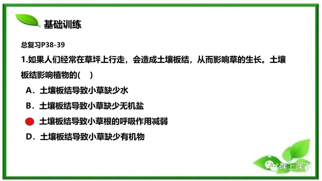 小中考复习课件8-----初一下绿色植物的呼吸作用-第19张图片-四季读书网