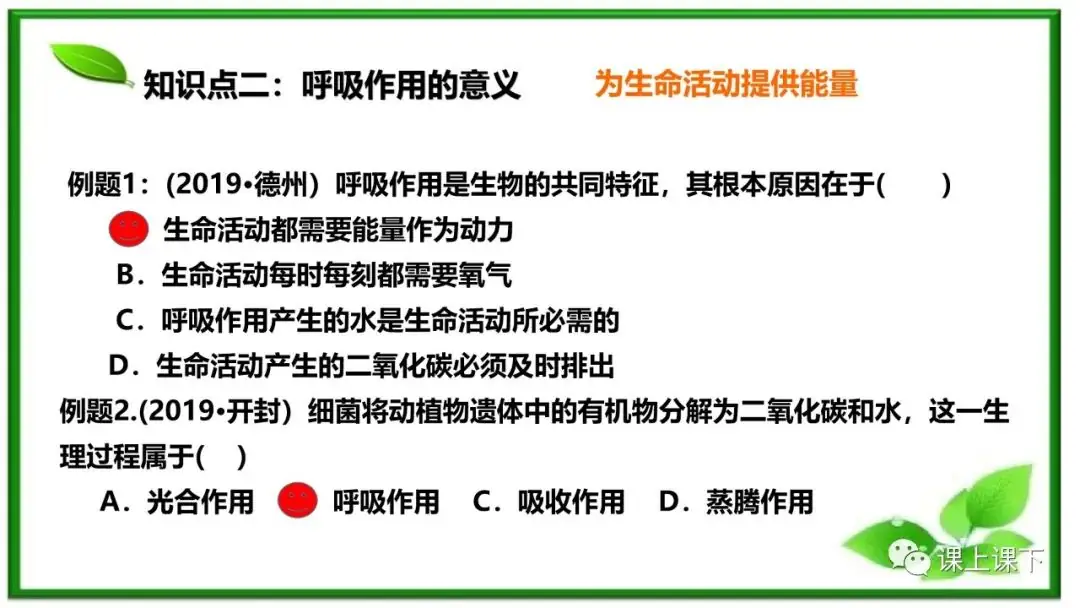 小中考复习课件8-----初一下绿色植物的呼吸作用-第7张图片-四季读书网