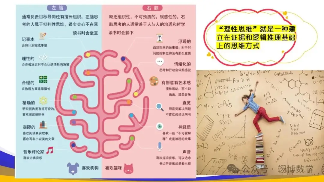 数学新高考应对策略-第9张图片-四季读书网
