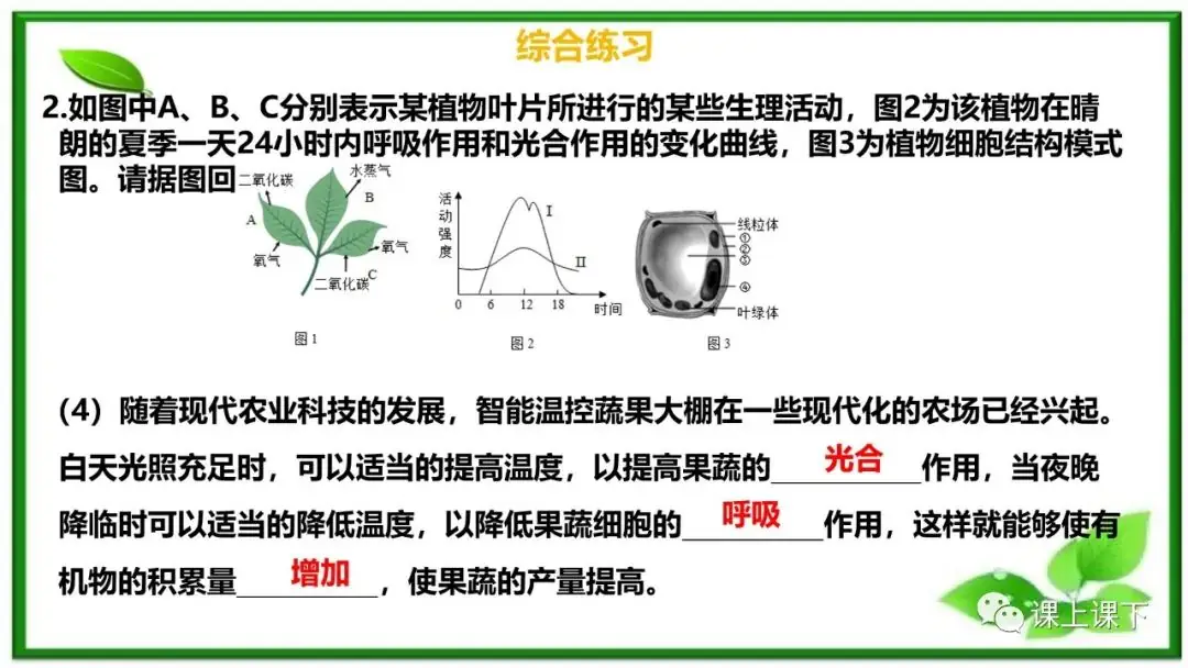小中考复习课件8-----初一下绿色植物的呼吸作用-第18张图片-四季读书网