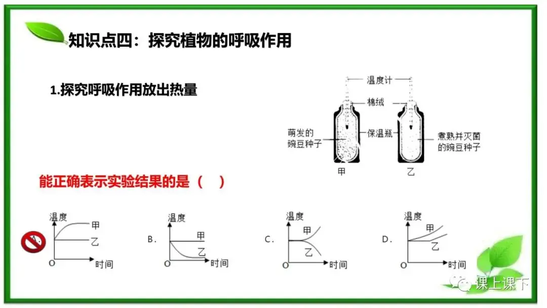 小中考复习课件8-----初一下绿色植物的呼吸作用-第9张图片-四季读书网
