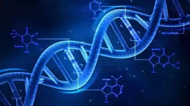 与新质生产力有关,2024高考这些专业恐怕要火,志愿别填冒了-第6张图片-四季读书网