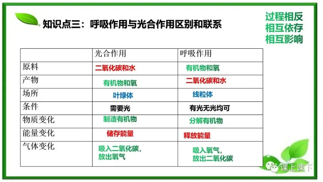 小中考复习课件8-----初一下绿色植物的呼吸作用-第4张图片-四季读书网