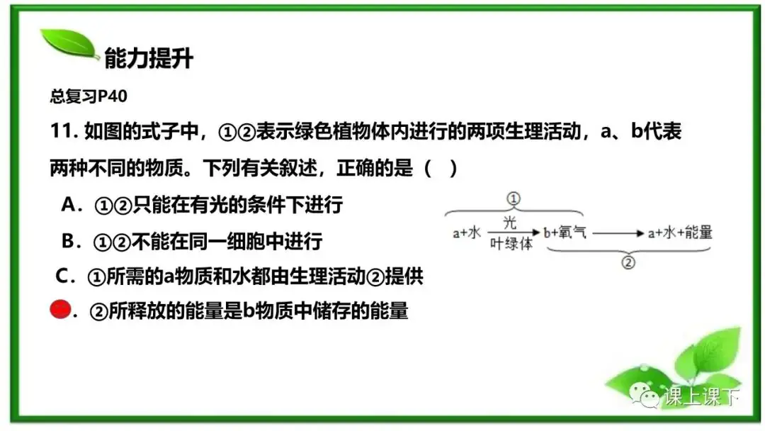 小中考复习课件8-----初一下绿色植物的呼吸作用-第22张图片-四季读书网