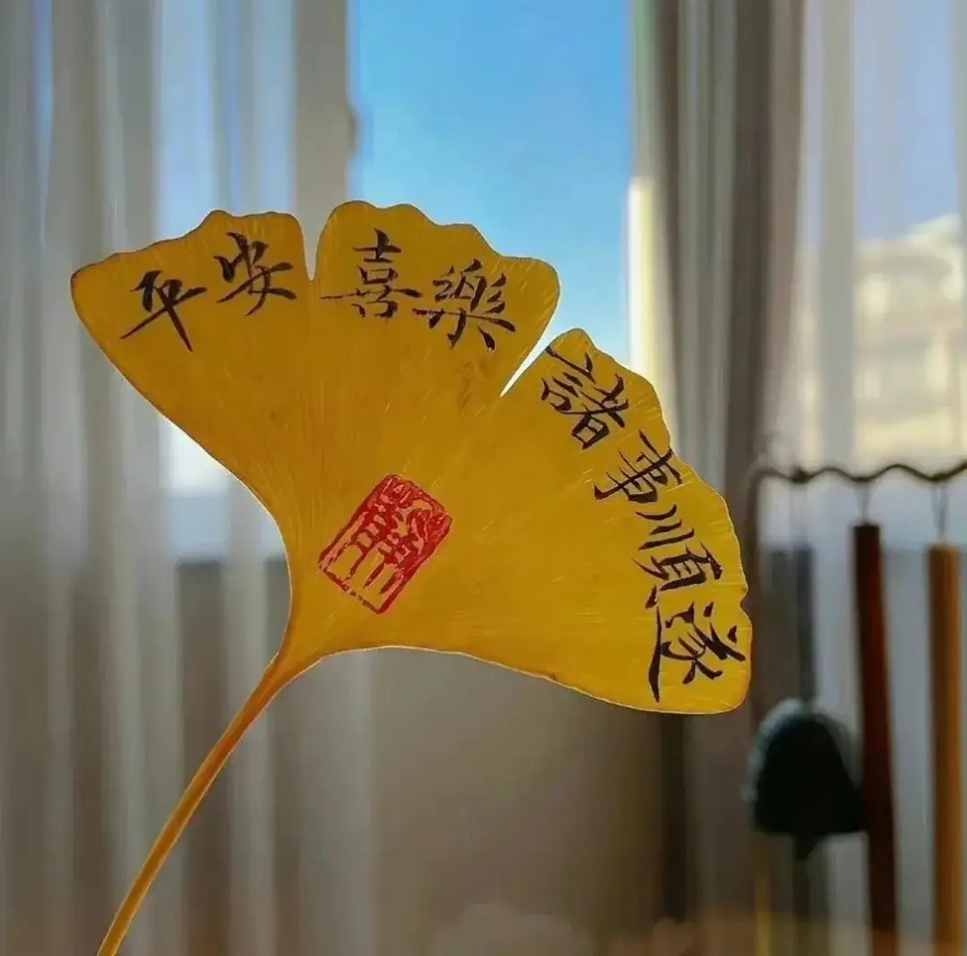 高考梦之声 | 与过去的自己对话-第6张图片-四季读书网