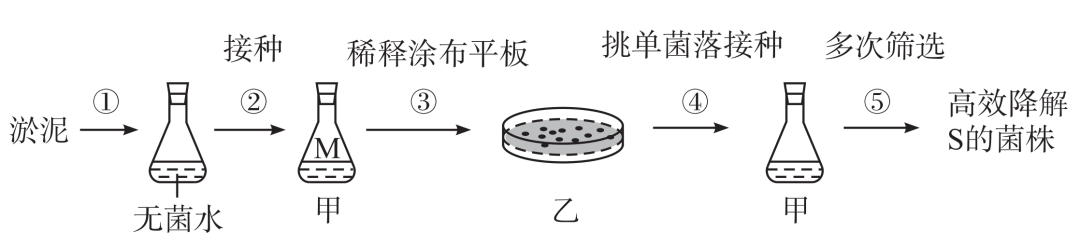 【高考真题】2020年全国Ⅰ卷生物试题-第2张图片-四季读书网