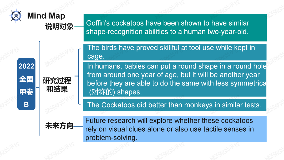 2024年高考说明文抢分课件: 用3步法|鱼骨法|词汇复现巩固, 克服最难的阅读题!-第25张图片-四季读书网 2024年高考说明文抢分课件: 用3步法|鱼骨法|词汇复现巩固, 克服最难的阅读题!-第25张图片-四季读书网