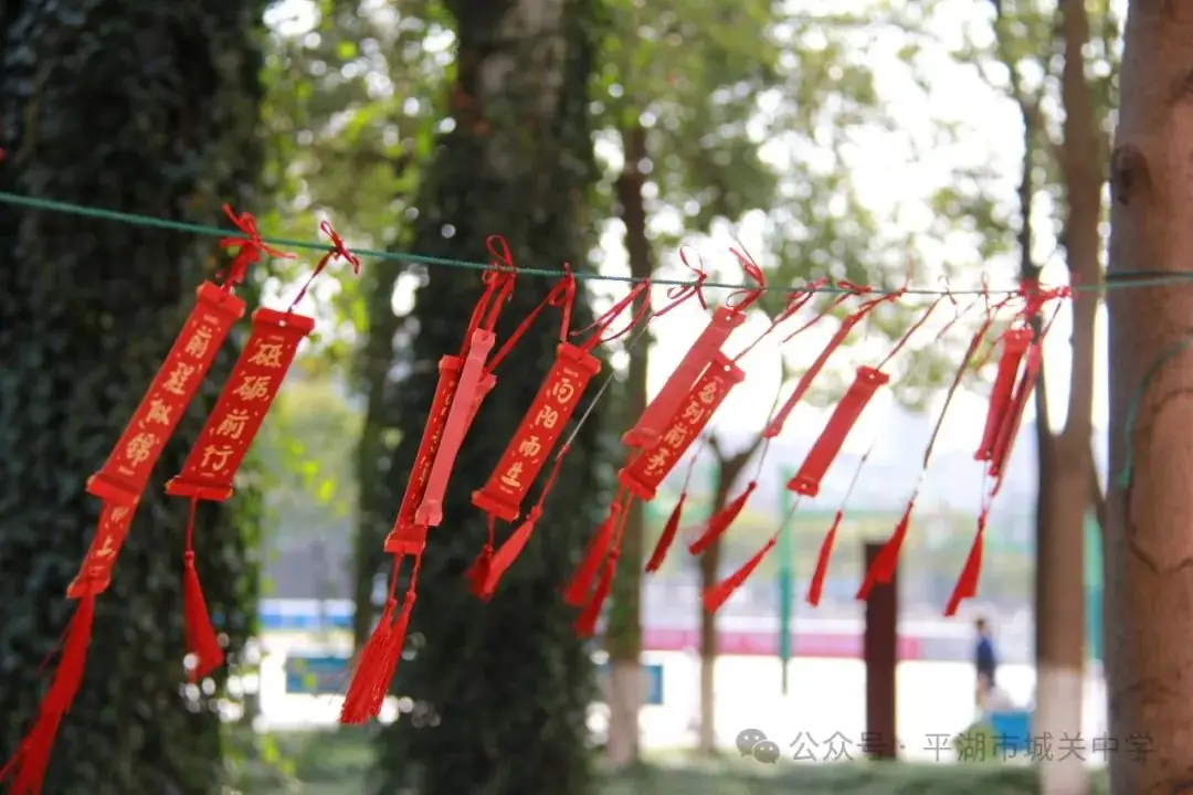 是一站 也是一战——城关中学2024中考励志赋能活动暨“青春之花”拔河赛 第6张 是一站 也是一战——城关中学2024中考励志赋能活动暨“青春之花”拔河赛 第6张