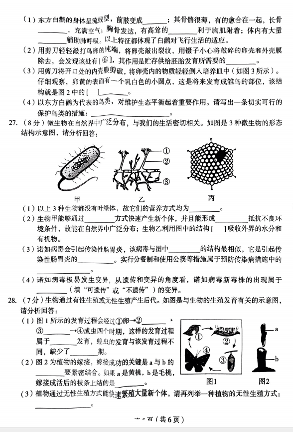 中考试题 河北省九地市生物试卷 第6张 中考试题 河北省九地市生物试卷 第6张
