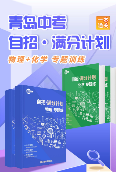 中考自招宝典!【物理+化学】手握这几本书进名校!!-第2张图片-四季读书网