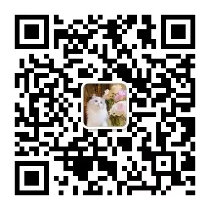 广东省2023年普通高考成绩25日11:30起推送,查分方式公布→ 第10张