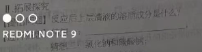 中考理综 | 2024河北省各地区一模卷含答案(共4套) 第143张