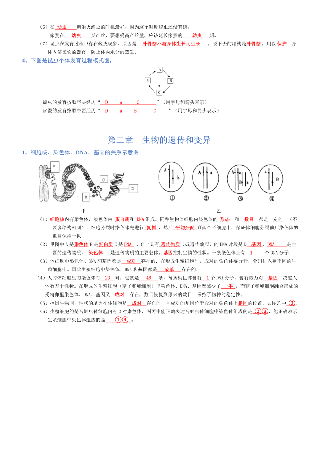 生物——八年级下册中考必背考点分册梳理-第2张图片-四季读书网
