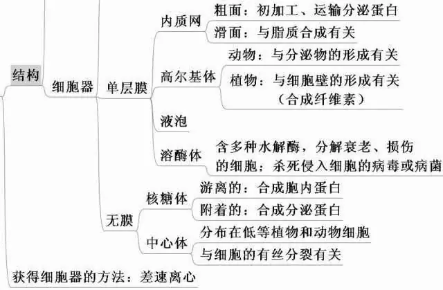 高考生物:高频考点总结,直观又详细!-第18张图片-四季读书网