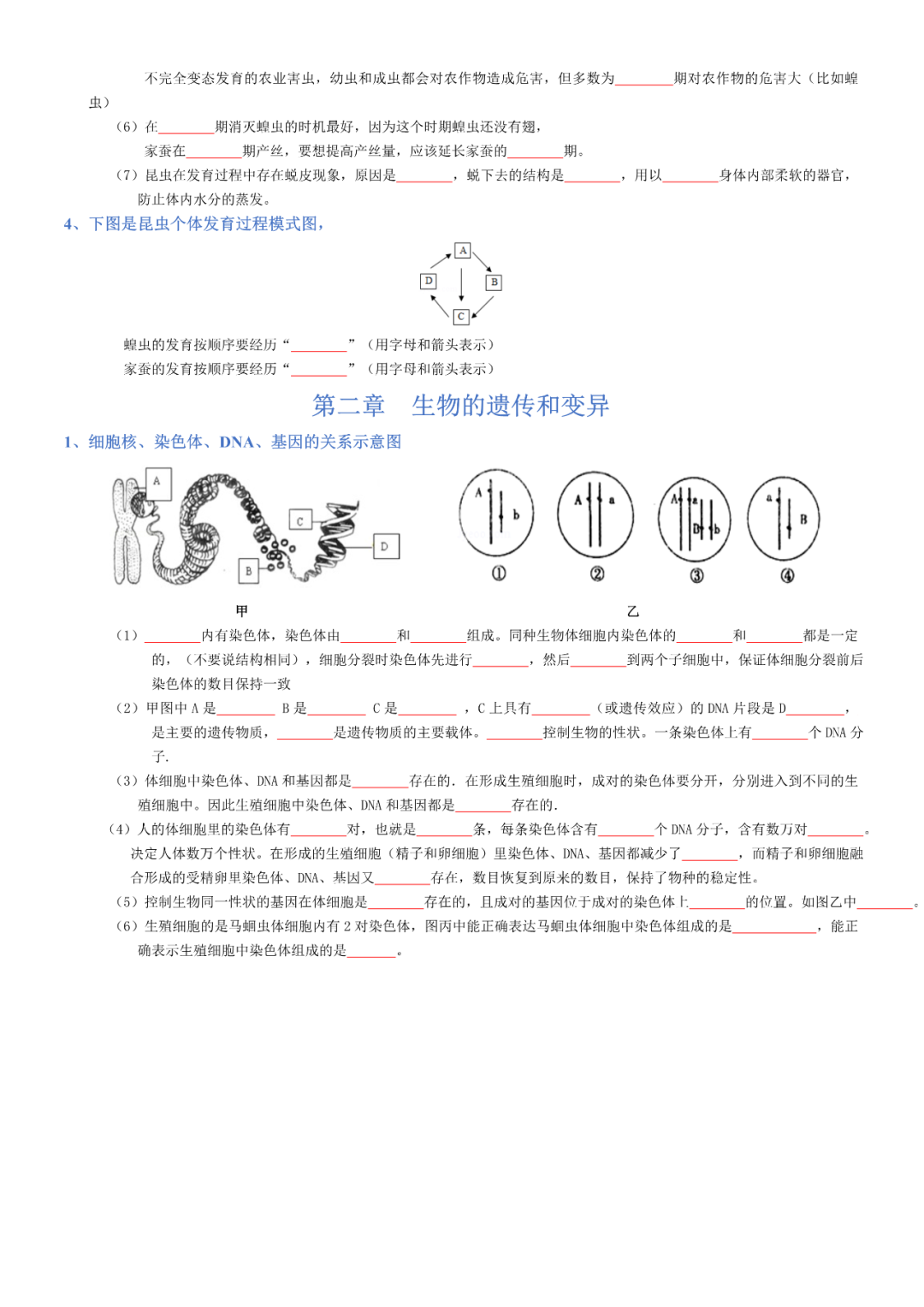 生物——八年级下册中考必背考点分册梳理-第18张图片-四季读书网