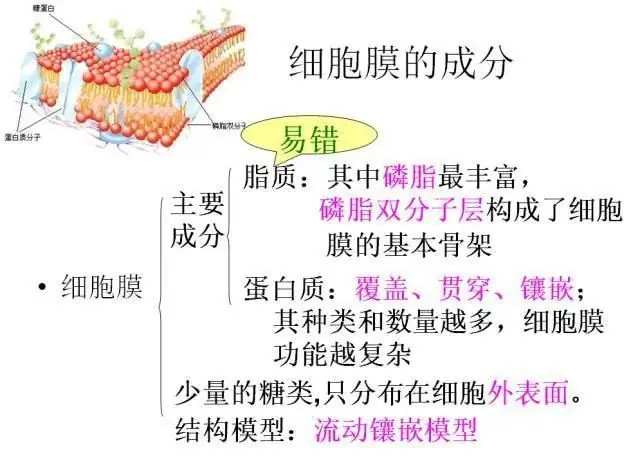 高考生物:高频考点总结,直观又详细!-第9张图片-四季读书网