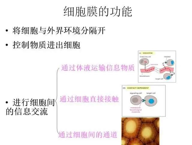 高考生物:高频考点总结,直观又详细!-第10张图片-四季读书网