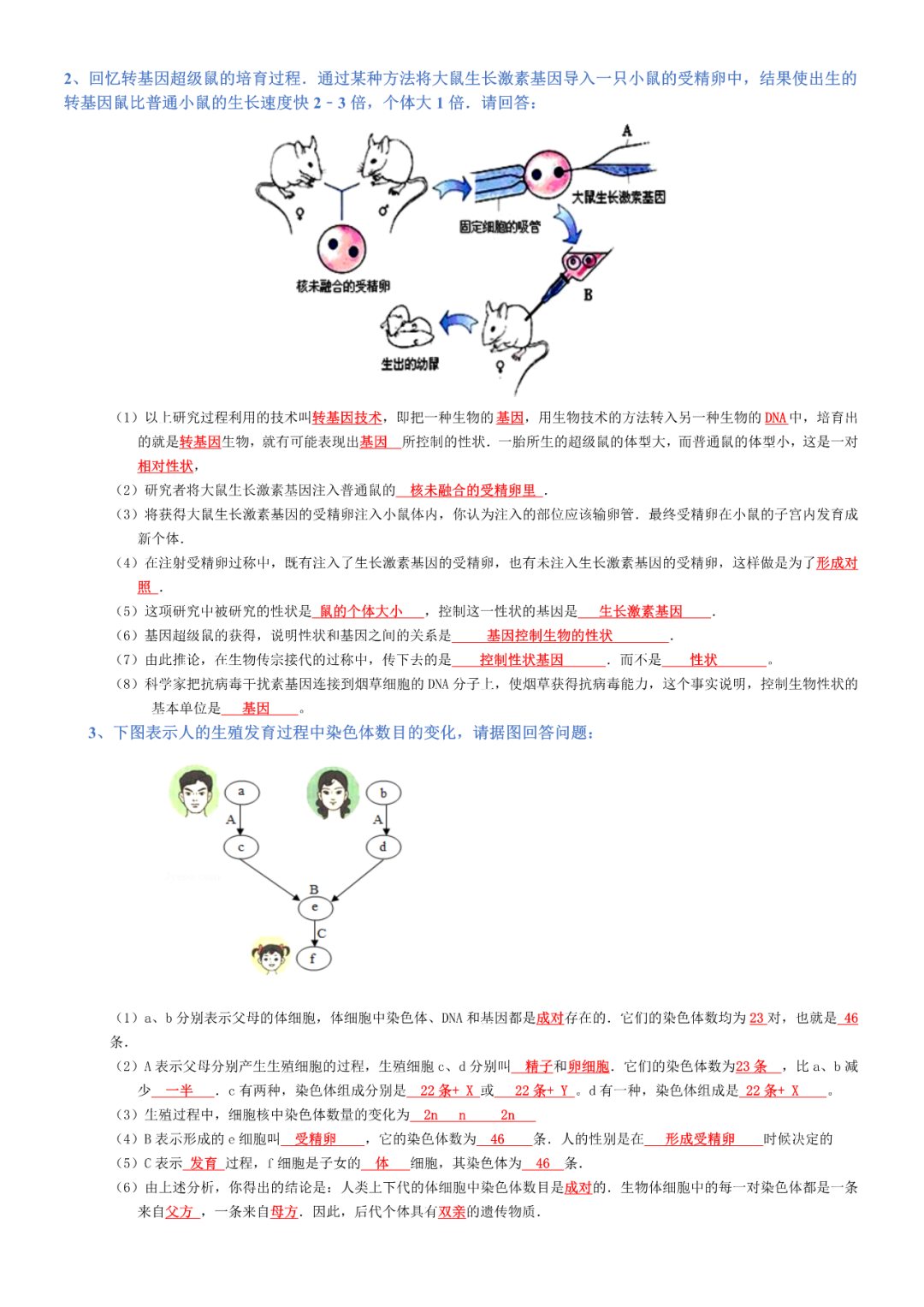 生物——八年级下册中考必背考点分册梳理-第3张图片-四季读书网