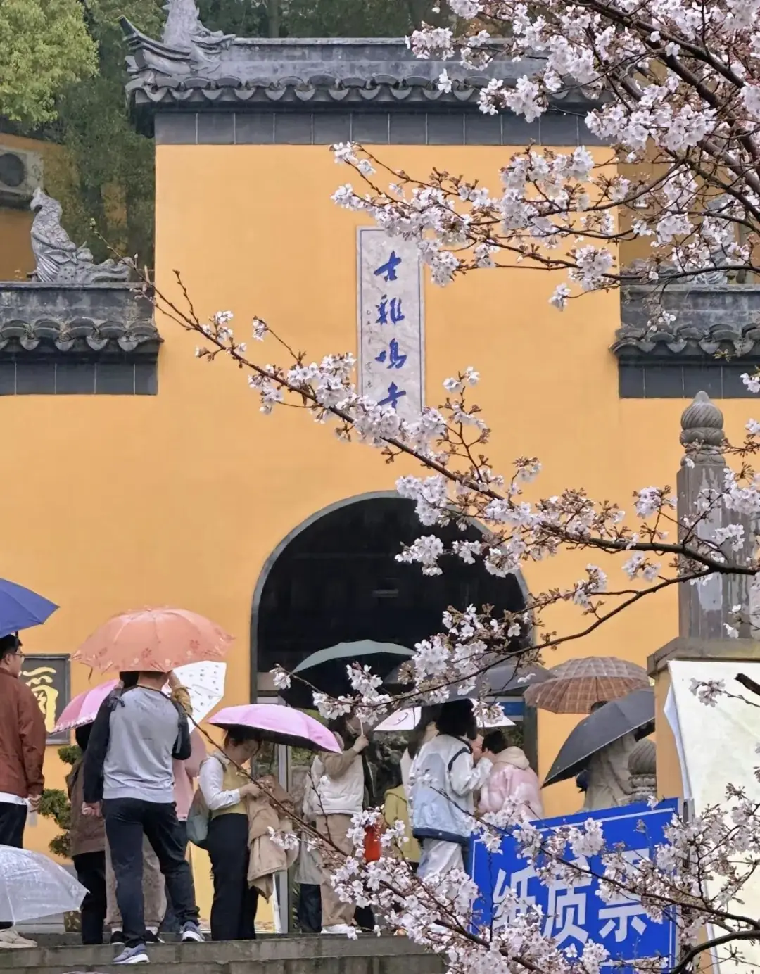 高考 | 高考失利后的十年-第3张图片-四季读书网