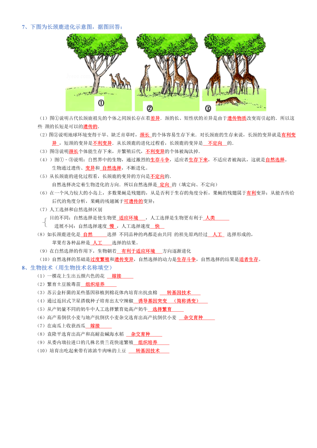 生物——八年级下册中考必背考点分册梳理-第9张图片-四季读书网