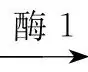 【高考真题】2022年全国乙卷生物试题-第3张图片-四季读书网
