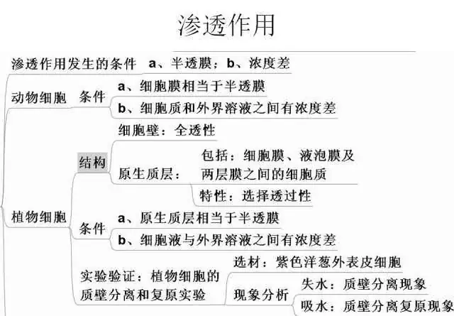 高考生物:高频考点总结,直观又详细!-第14张图片-四季读书网