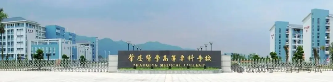 【广东成考】肇庆医学高等专科学校成人高考2024年招生-第1张图片-四季读书网 【广东成考】肇庆医学高等专科学校成人高考2024年招生-第1张图片-四季读书网