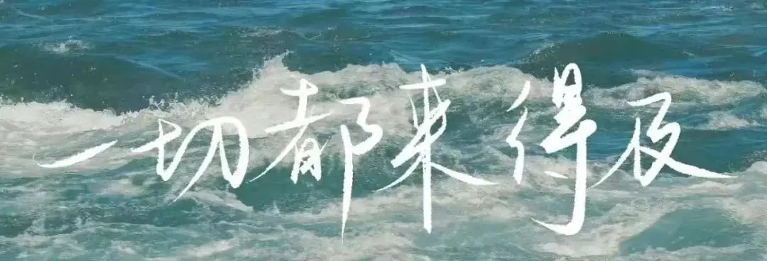近五年高考英语真题 | 长难句翻译解析(24)-第1张图片-四季读书网