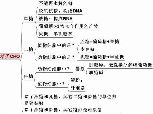 高考生物:高频考点总结,直观又详细!-第3张图片-四季读书网
