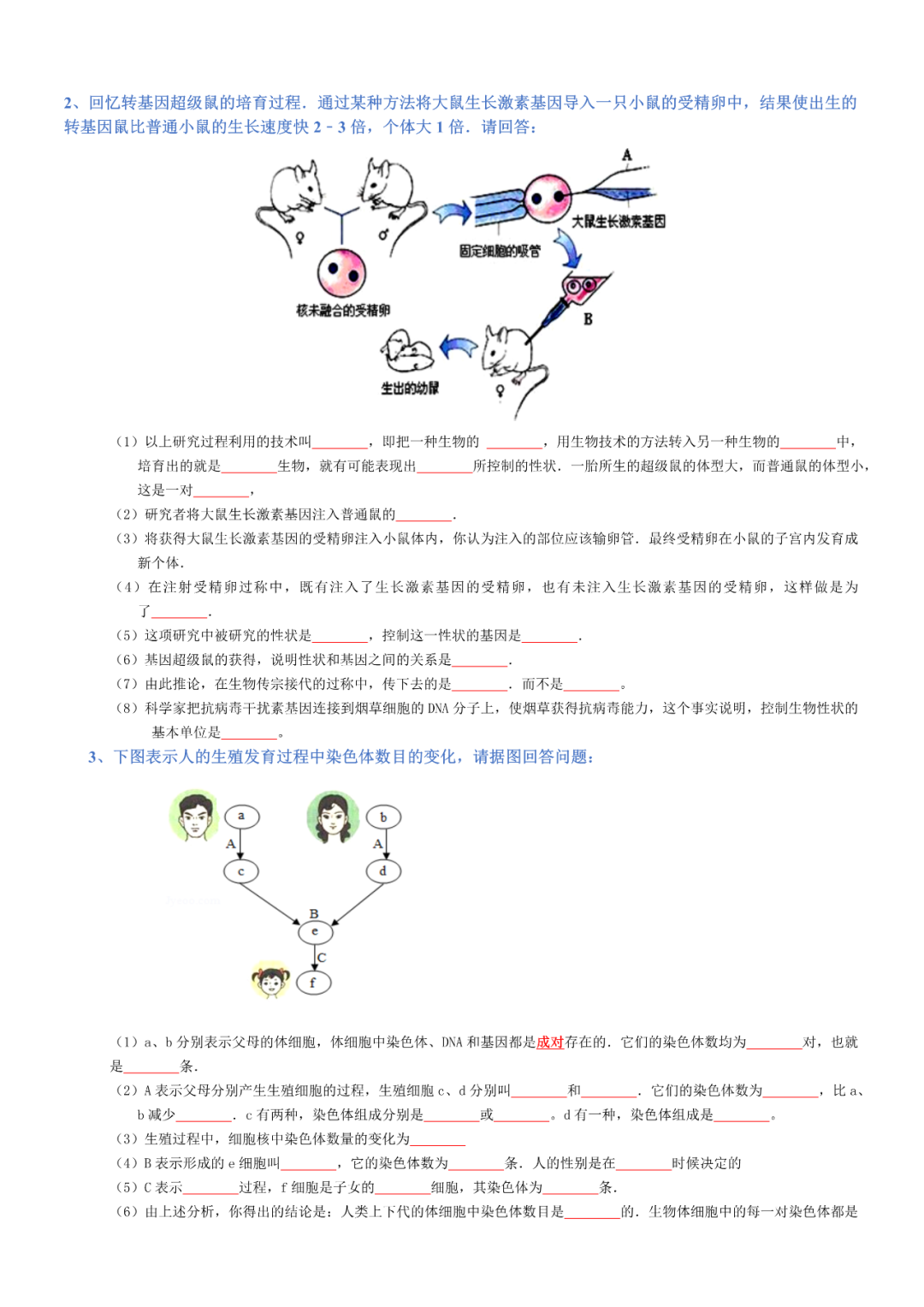 生物——八年级下册中考必背考点分册梳理-第19张图片-四季读书网