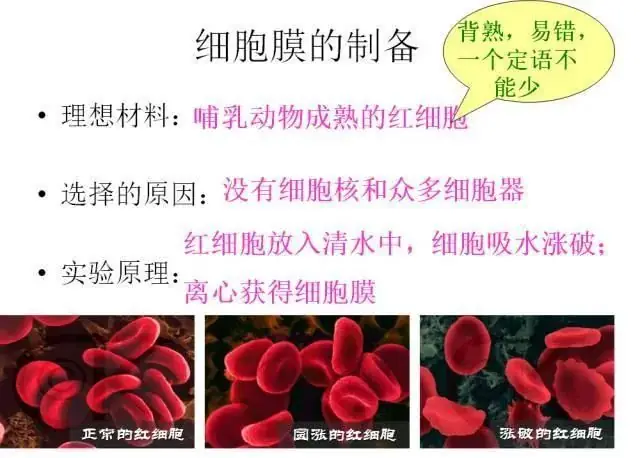 高考生物:高频考点总结,直观又详细!-第8张图片-四季读书网