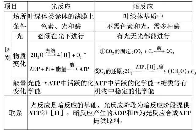 高考生物:高频考点总结,直观又详细!-第28张图片-四季读书网