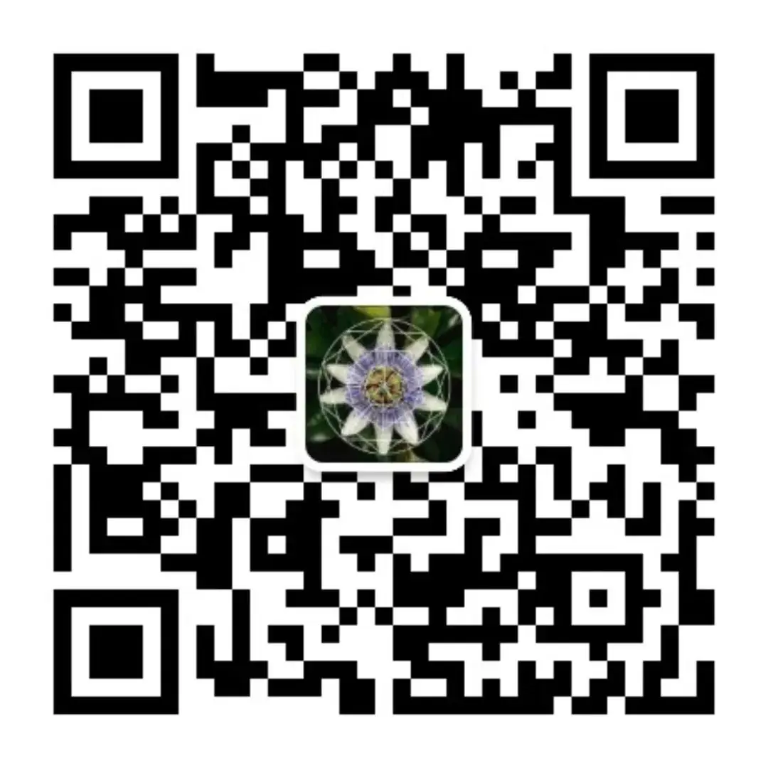 整装待发新征程,探寻中考新方向——曲靖市数学学科教研基地二组第一次全员会议暨曲靖市2024年数学学科初中学业水平考试研讨会-第33张图片-四季读书网 整装待发新征程,探寻中考新方向——曲靖市数学学科教研基地二组第一次全员会议暨曲靖市2024年数学学科初中学业水平考试研讨会-第33张图片-四季读书网
